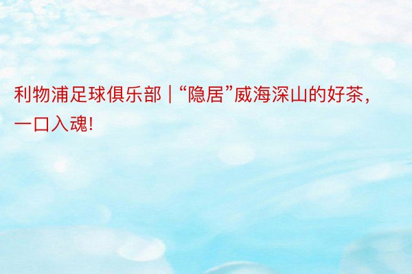 利物浦足球俱乐部 | “隐居”威海深山的好茶，一口入魂!