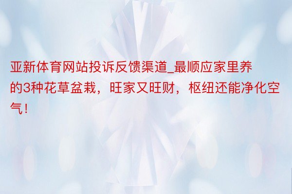 亚新体育网站投诉反馈渠道_最顺应家里养的3种花草盆栽，旺家又旺财，枢纽还能净化空气！
