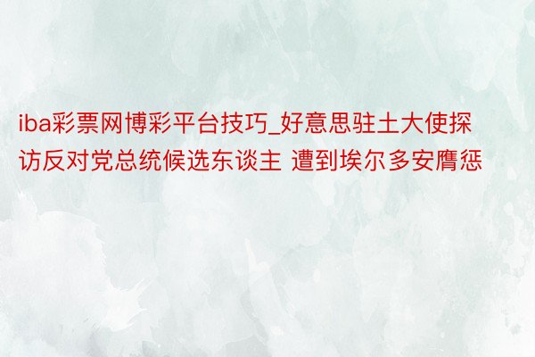 iba彩票网博彩平台技巧_好意思驻土大使探访反对党总统候选东谈主 遭到埃尔多安膺惩